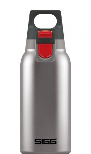 Sigg Hot & Cold One Brushed 0.3l Thermo Flasks | 850-BGNSAH