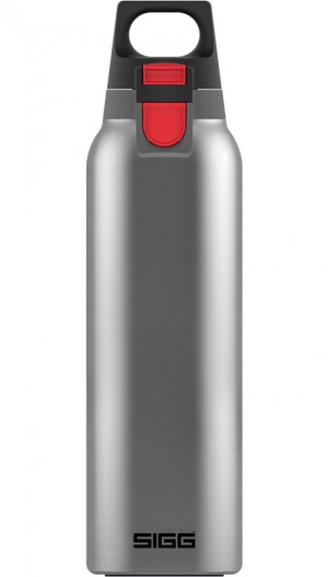 Sigg Hot & Cold One Brushed 0.55l Thermo Flasks Light | 783-LQJHAK