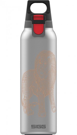 Sigg Hot & Cold One Sophialion 0.5l Thermo Flasks | 418-XJQSWI