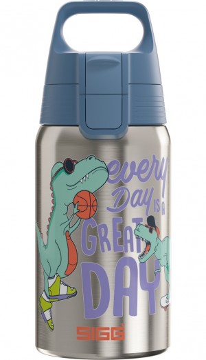 Sigg Shield One Great Day 0.5l Kids Water Bottle | 054-PJZVGN