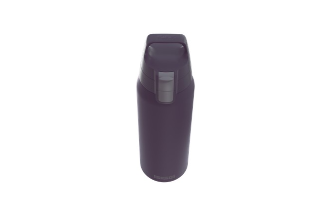 Sigg Shield Therm One Nocturne Darklila 0.75l Thermo Flasks | 651-AOJTBX