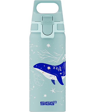 Sigg Wmb One Dive 0.6l Kids Water Bottle | 745-KMIHDU